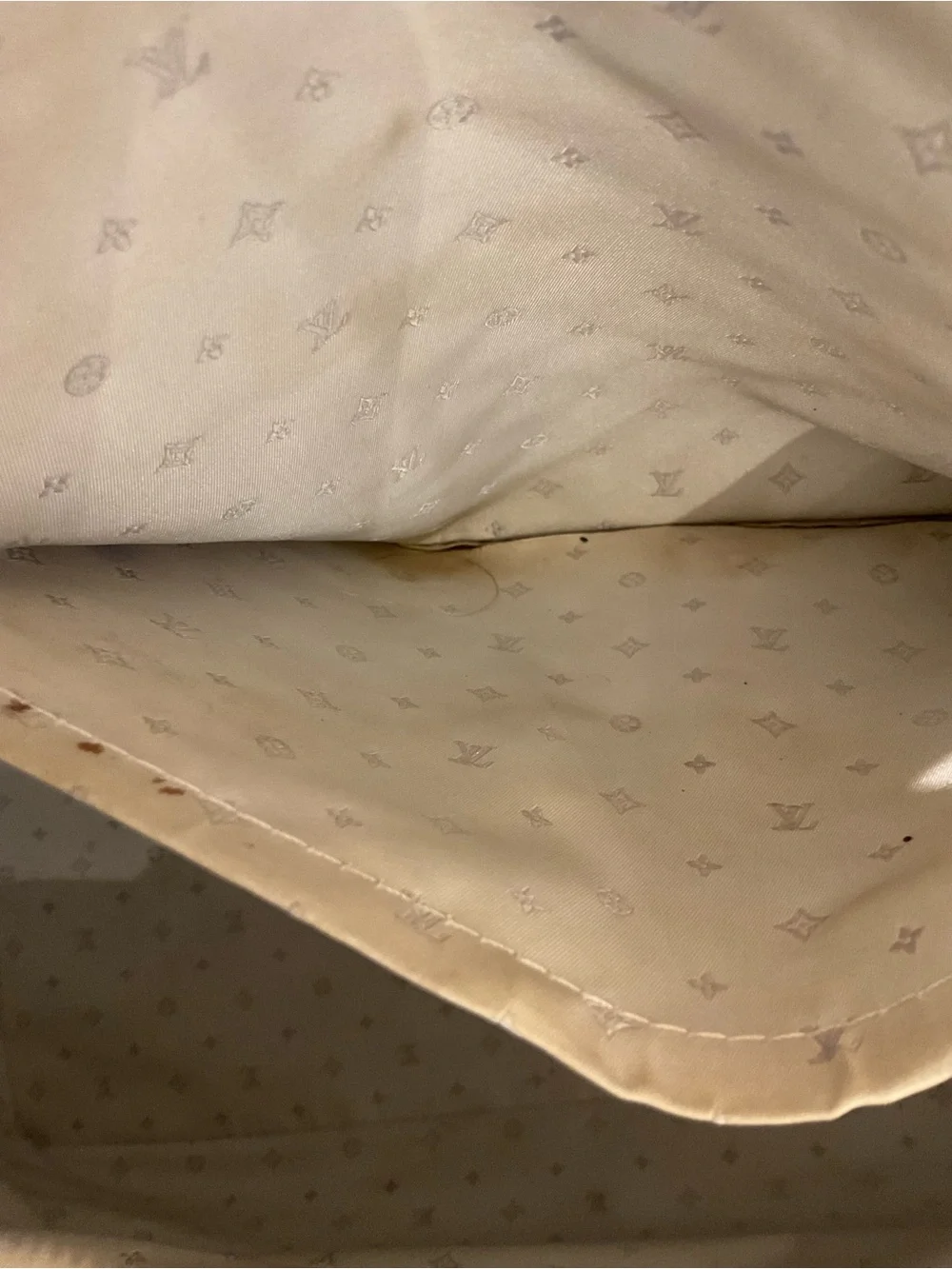 Louis Vuitton Bag